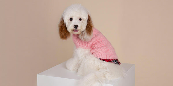 Sweaters