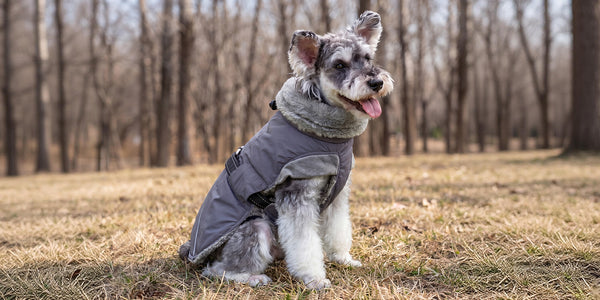 Coats