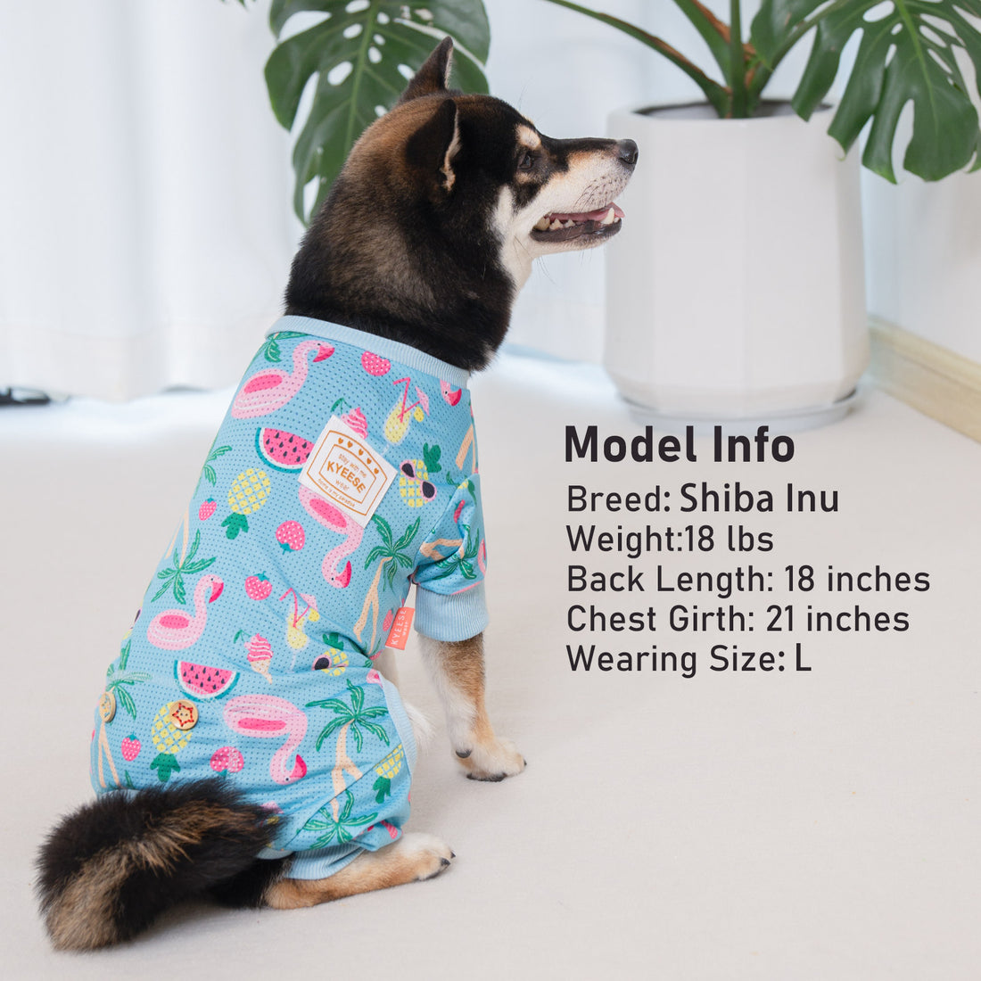 Light blue dog onesie with fruit pattern and ribbed trim, front view on a pet