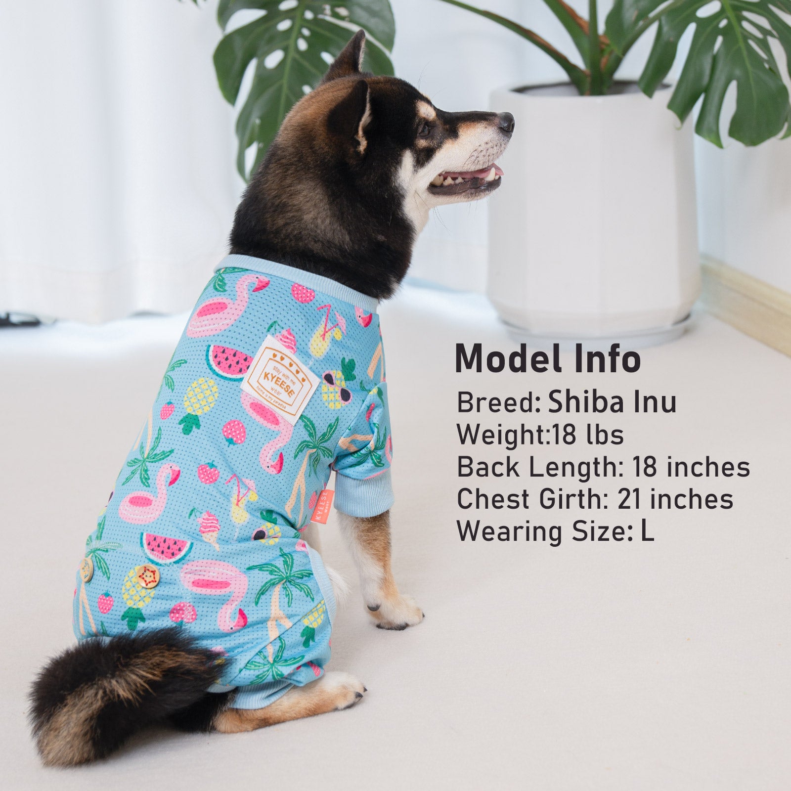 Light blue dog onesie with fruit pattern and ribbed trim, front view on a pet