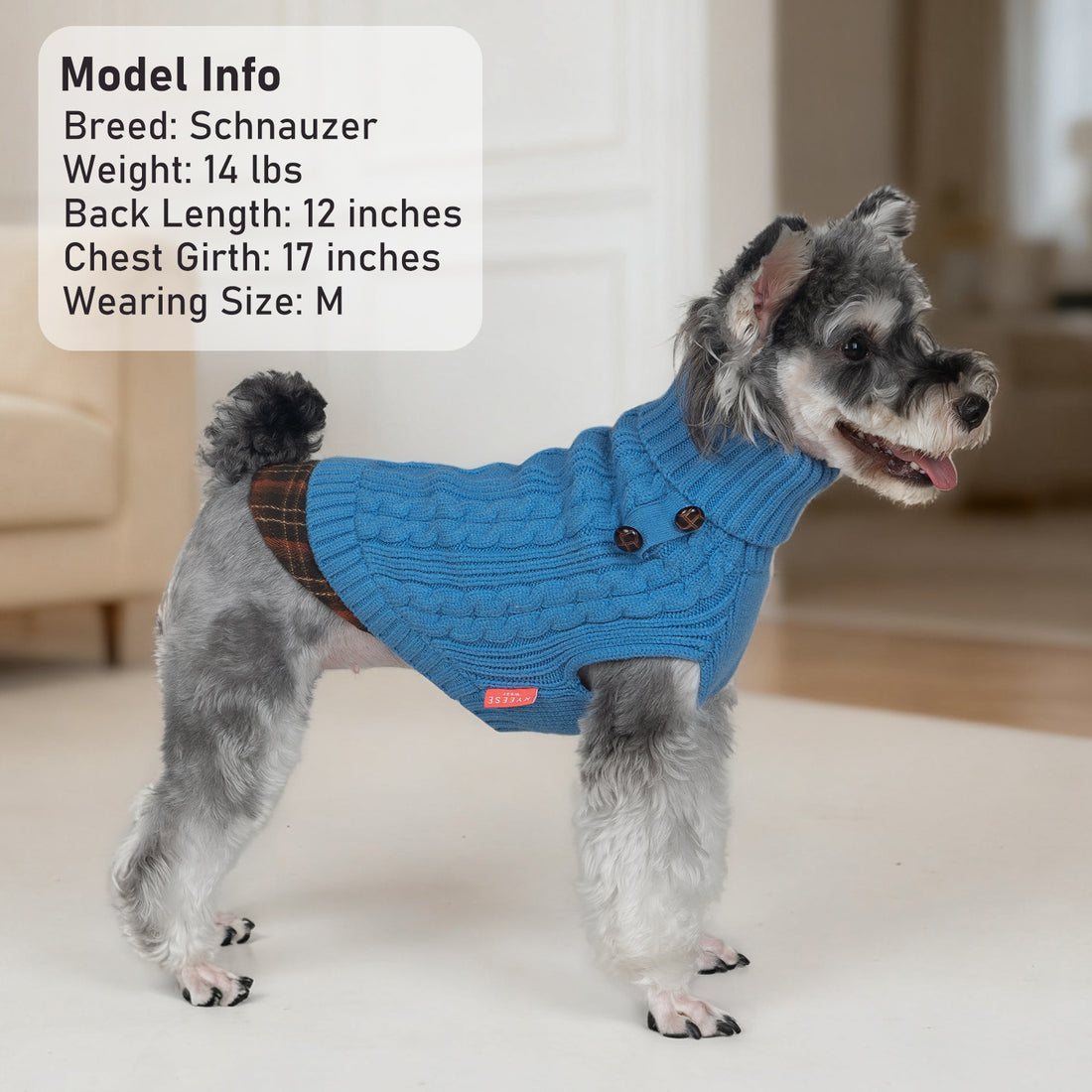 Blue dog turtleneck sweater with cable knit pattern and two-button collar