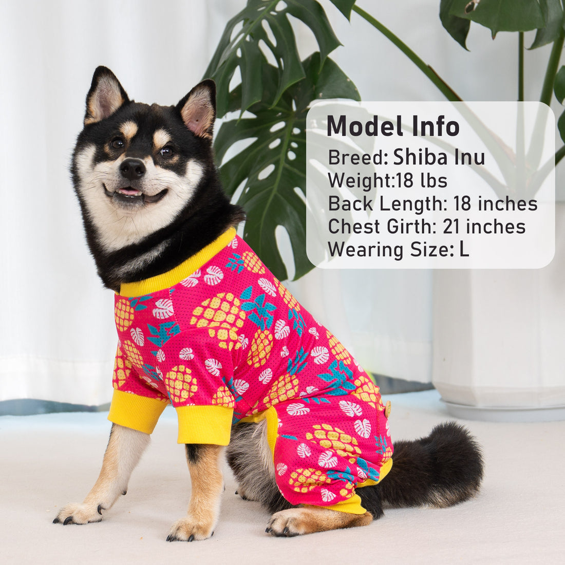 Red dog onesie pajamas with yellow collar and fruit pattern, standing pet wearing it