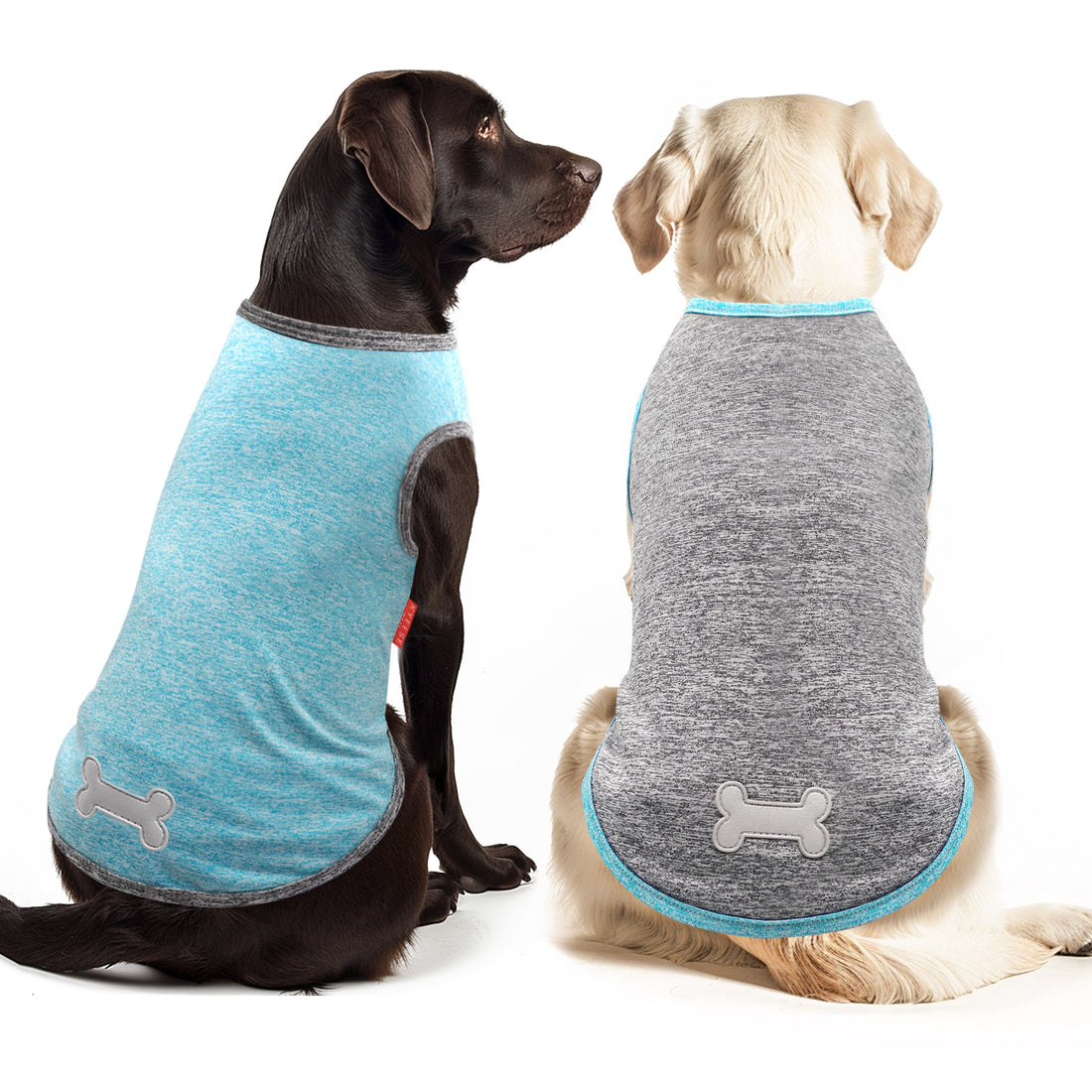 Heather-gray and teal sleeveless dog shirts on two dogs, bone emblem