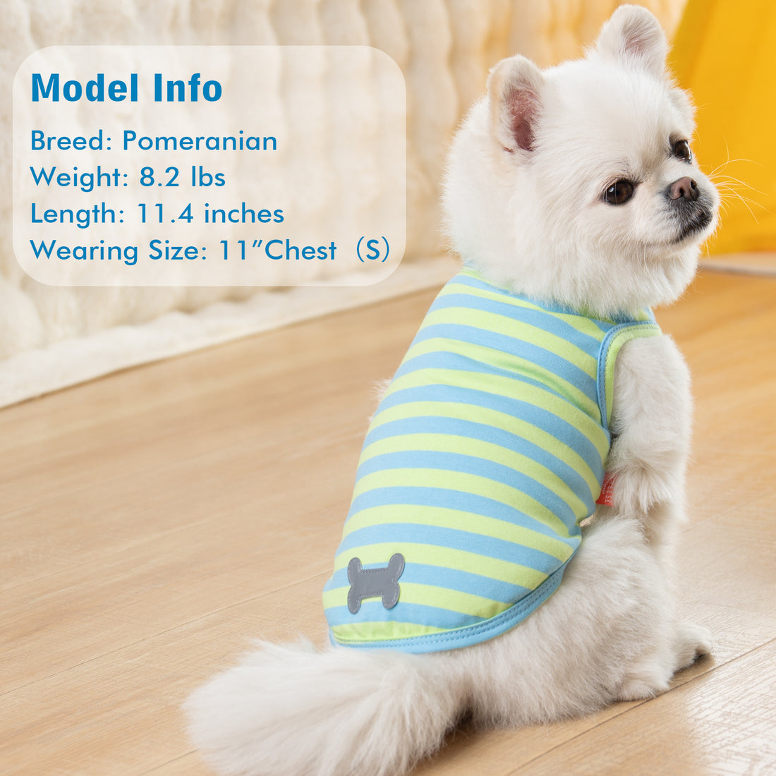 Sleeveless dog shirt in light green and blue stripes with gray bone patch