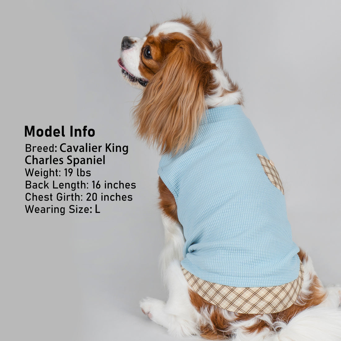 Blue waffle knit sleeveless dog shirt showing plaid pocket and plaid hem detail