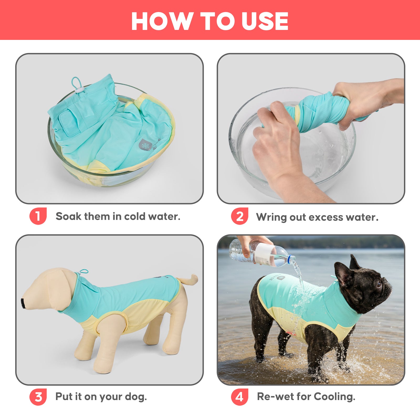Instructions graphic for using a teal cooling dog vest by soaking and re-wetting