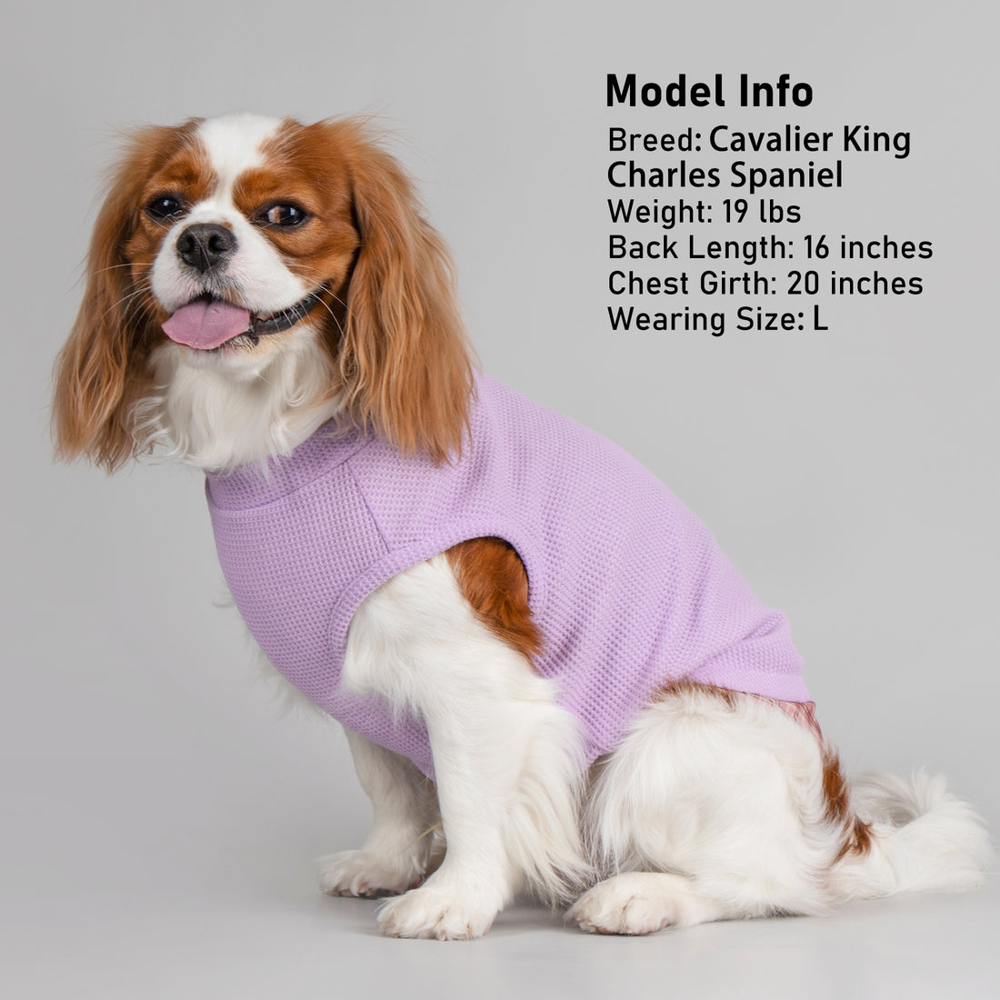 Purple waffle knit sleeveless dog shirt with round neck and plaid hemline