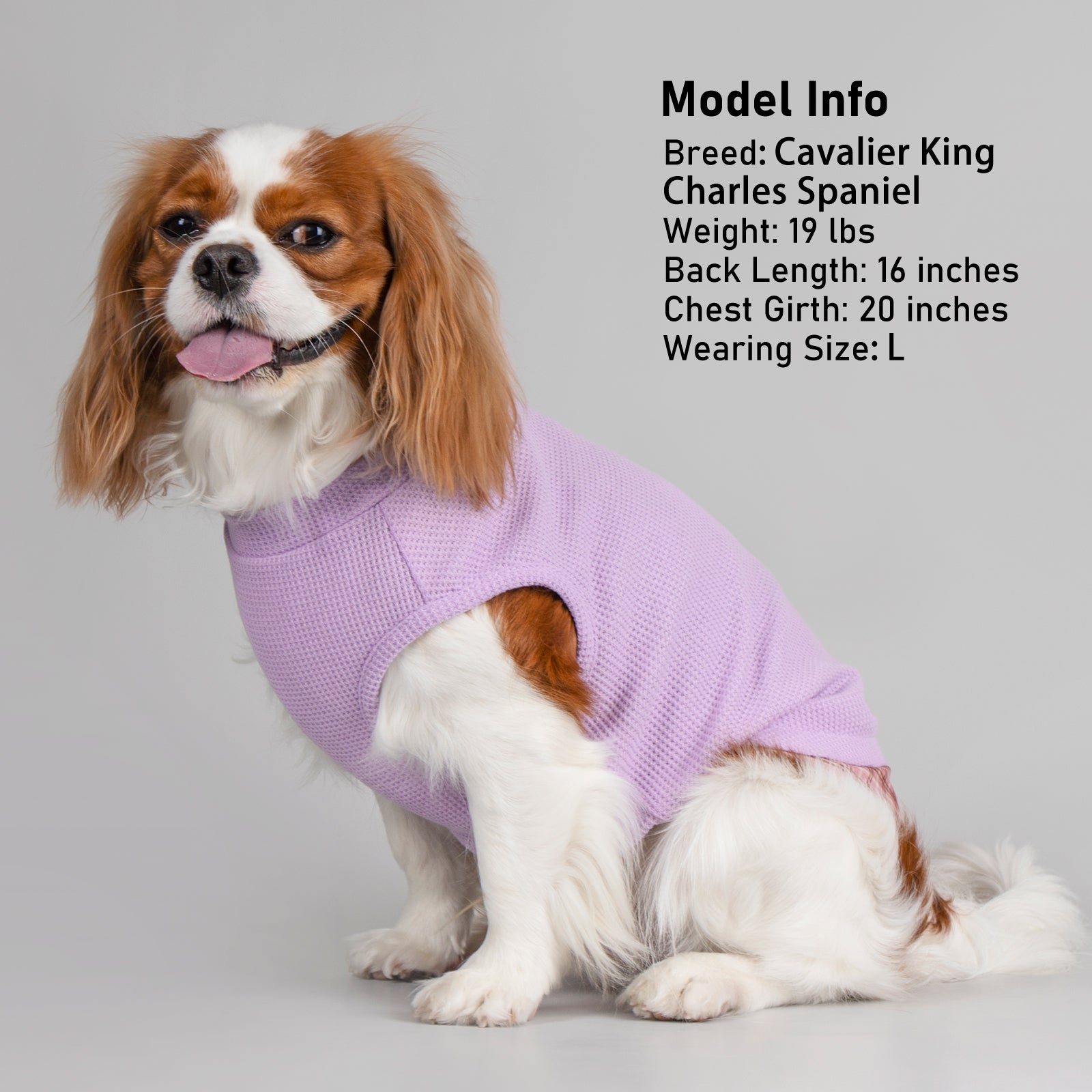 Purple waffle knit sleeveless dog shirt with round neck and plaid hemline