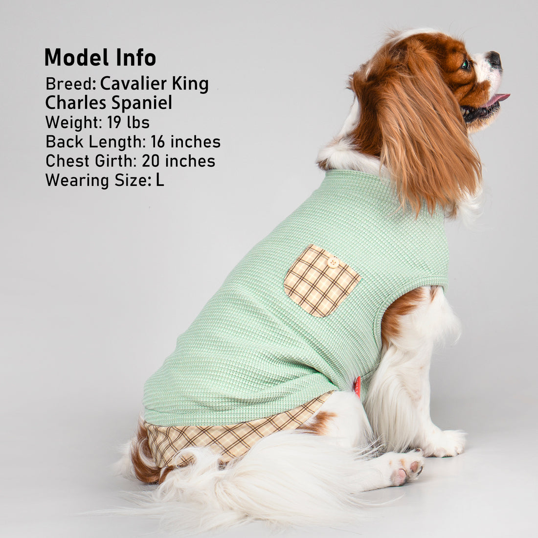 Light green sleeveless dog shirt with tan plaid pocket and plaid hem band