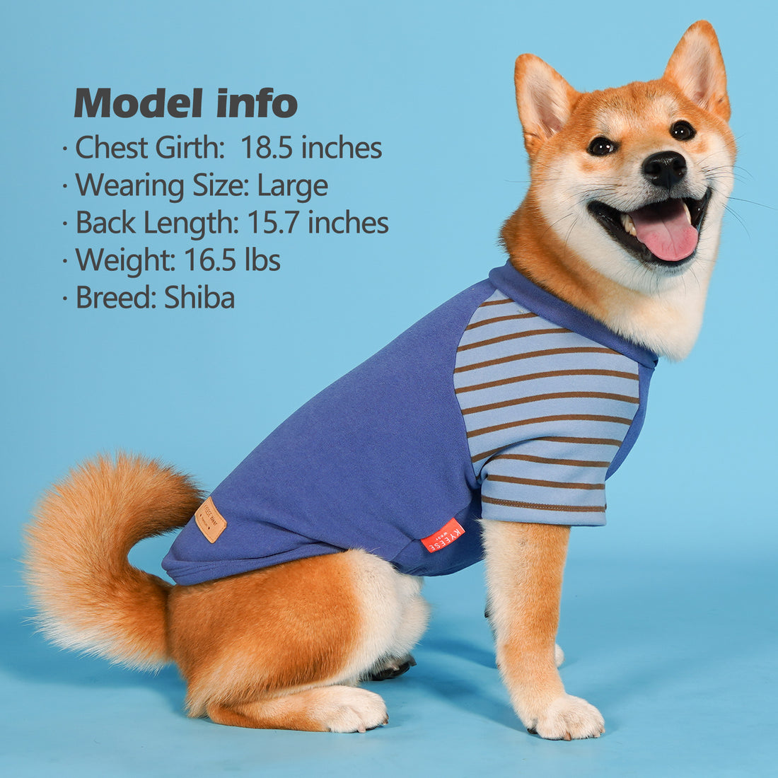 Blue dog raglan shirt with tan striped sleeves and small brown label