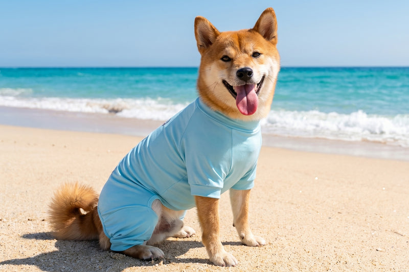 Are you choosing 
the right sun protection
 for your dog?