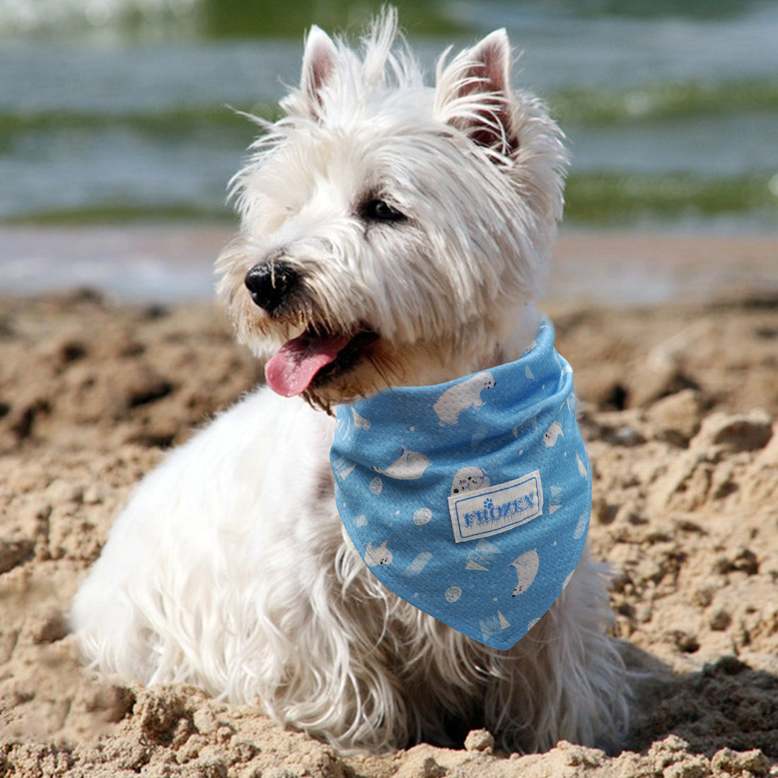 Cooling dog bandana on small dog, blue patterned cloth with neck tie and logo patch