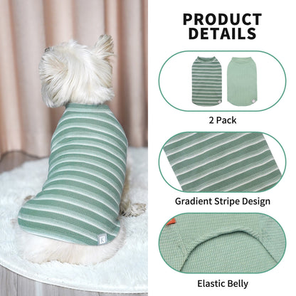 2-pack dog shirts with gradient stripe design; green striped and solid mint styles.