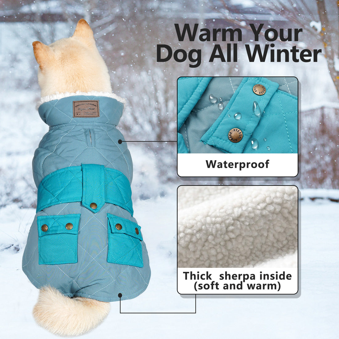 Quilted windproof dog coat with pocket, turquoise-blue with thick sherpa lining and front pockets