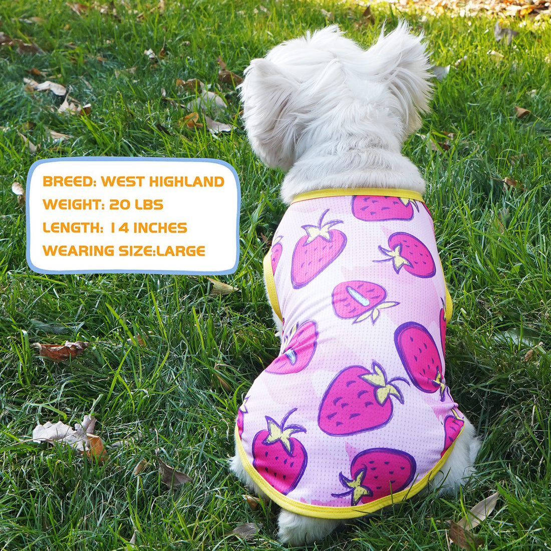 Strawberry-pattern dog shirt in light purple with yellow trim and mesh texture