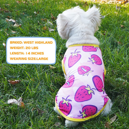 Strawberry-pattern dog shirt in light purple with yellow trim and mesh texture