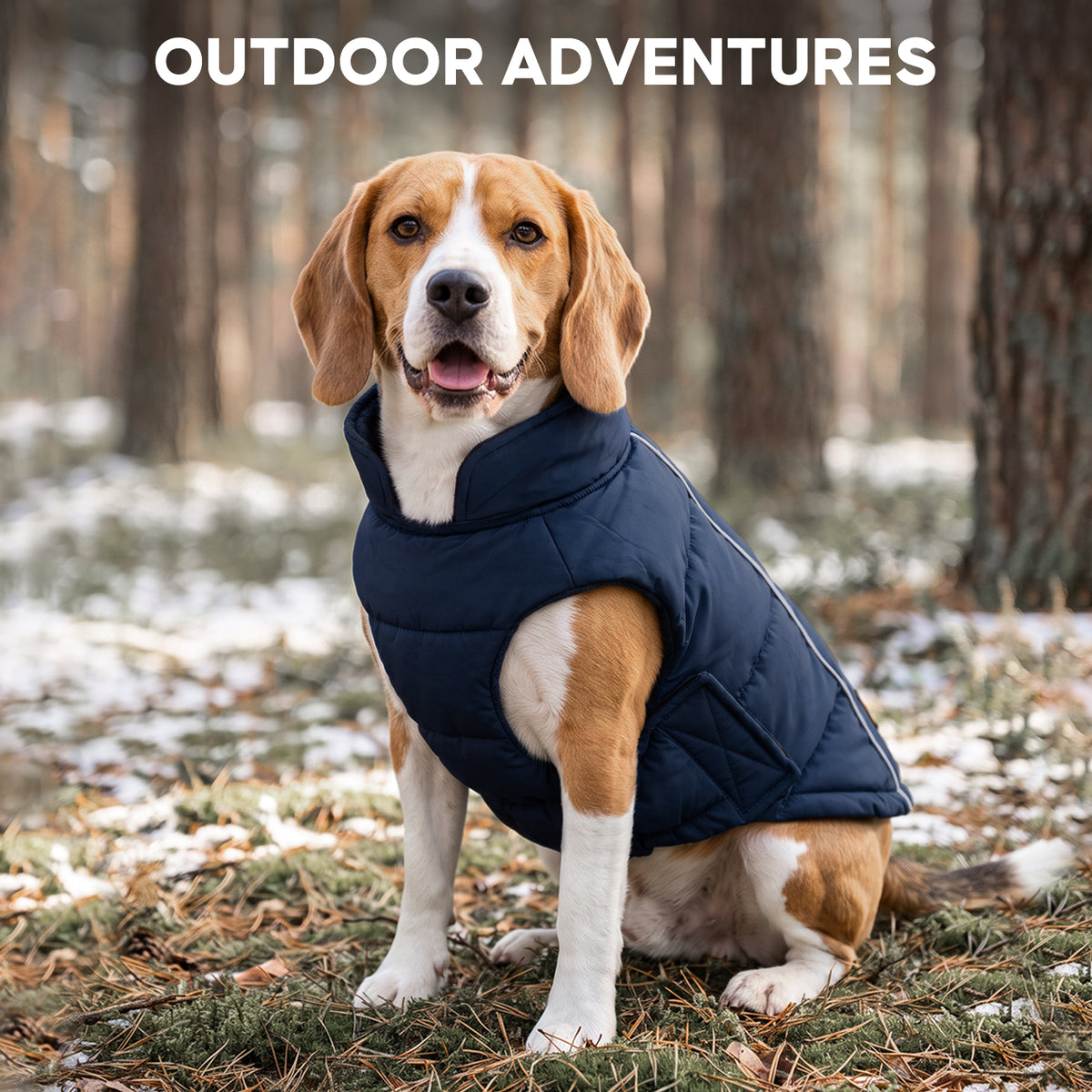 Blue Reflective Dog Winter Coat gallery image 8