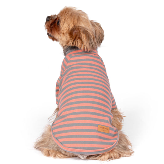 Orange and gray striped dog raglan shirt with long sleeves and small yellow patch