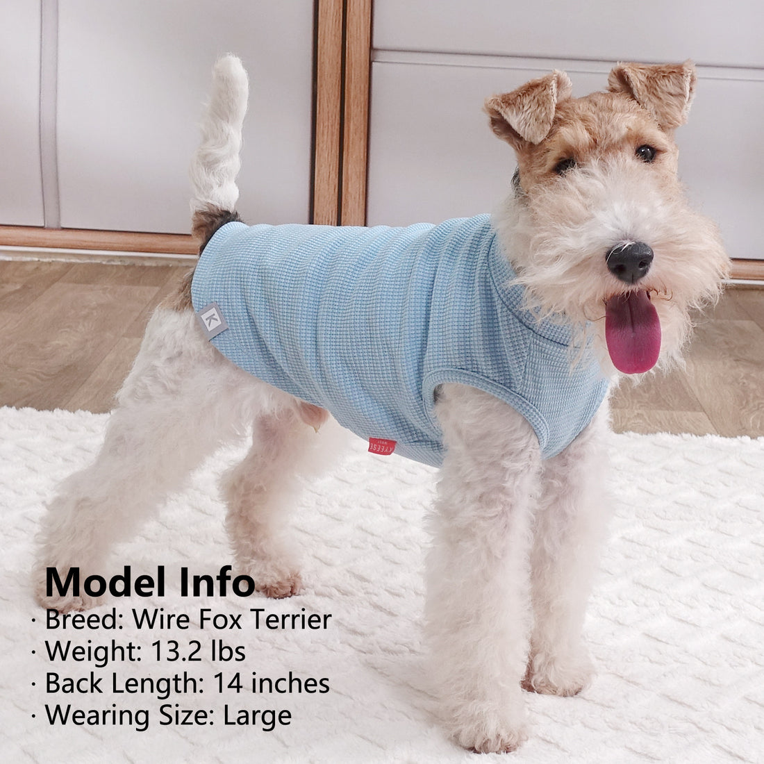 Waffle-knit dog shirt, light blue with short sleeves and open belly for easy wear