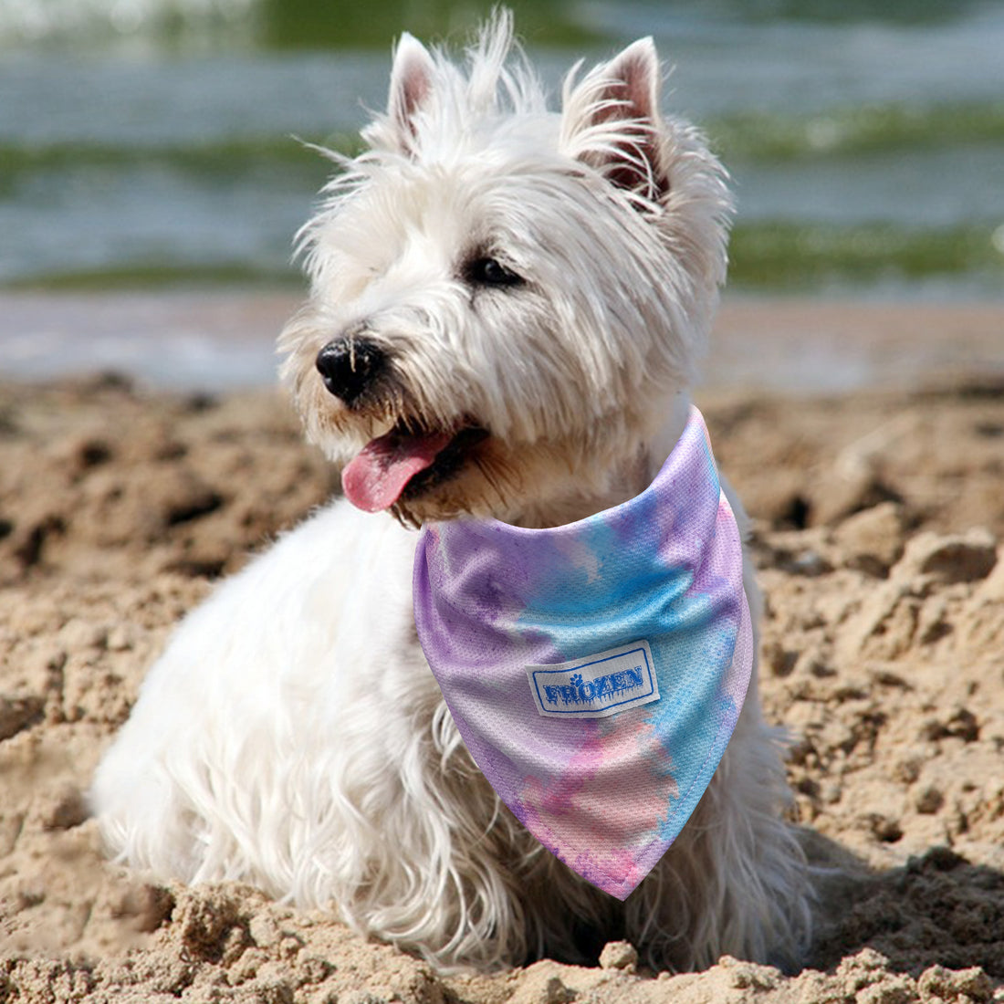 Cooling dog bandana on small dog, purple tie-dye cloth with neck tie and logo patch