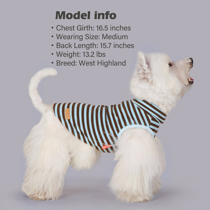 Dog sleeveless velvet sweater with brown and cream striped turtleneck tank, rounded armholes