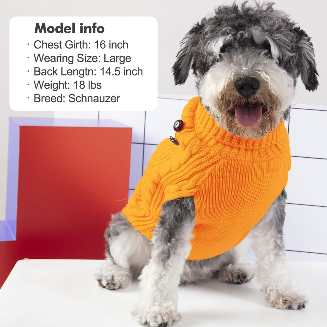 Orange dog turtleneck sweater with cable knit pattern and two buttons near collar