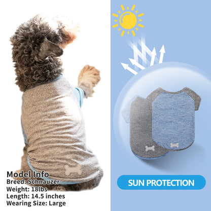 Lightweight dog raglan shirt in heather blue and gray with bone applique on the chest