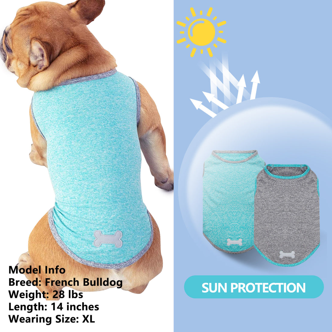 Teal sleeveless dog shirt with bone emblem on tan bulldog, two-pack set