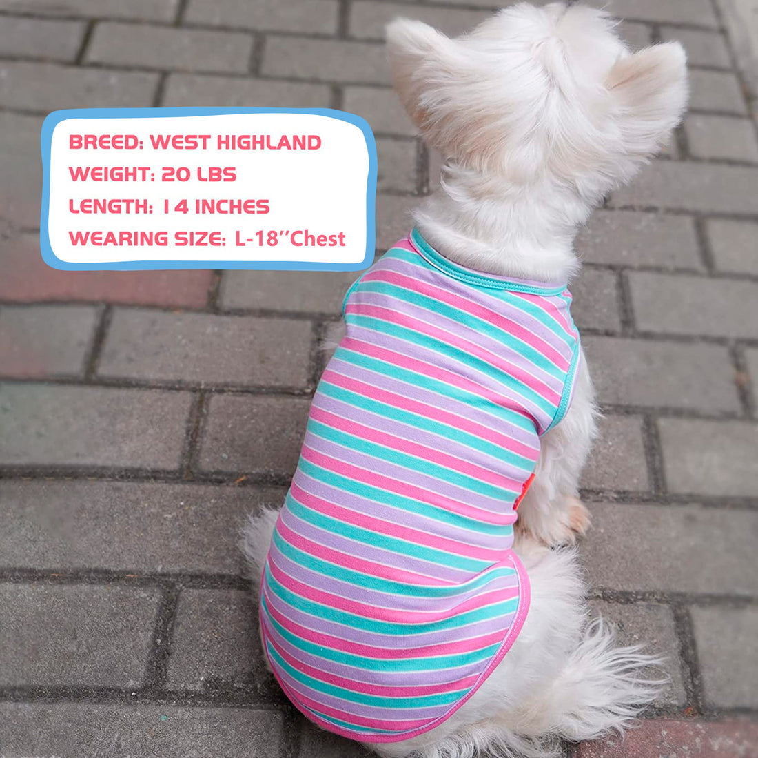 Striped sleeveless dog shirt in teal, pink, and purple with red trim