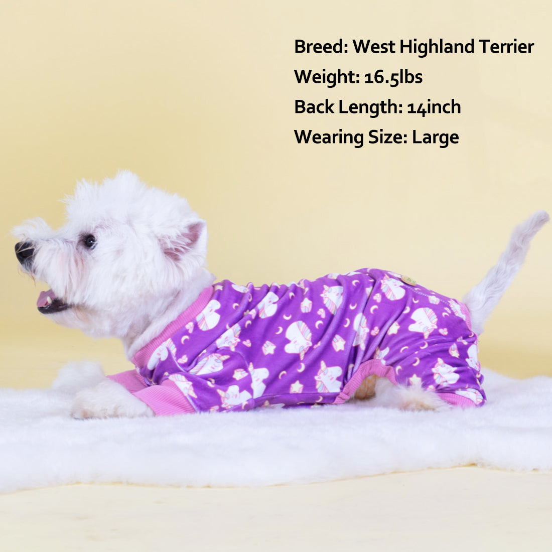 Purple dog unicorn onesie pajamas on a small dog, pink ribbed collar and leg cuffs.
