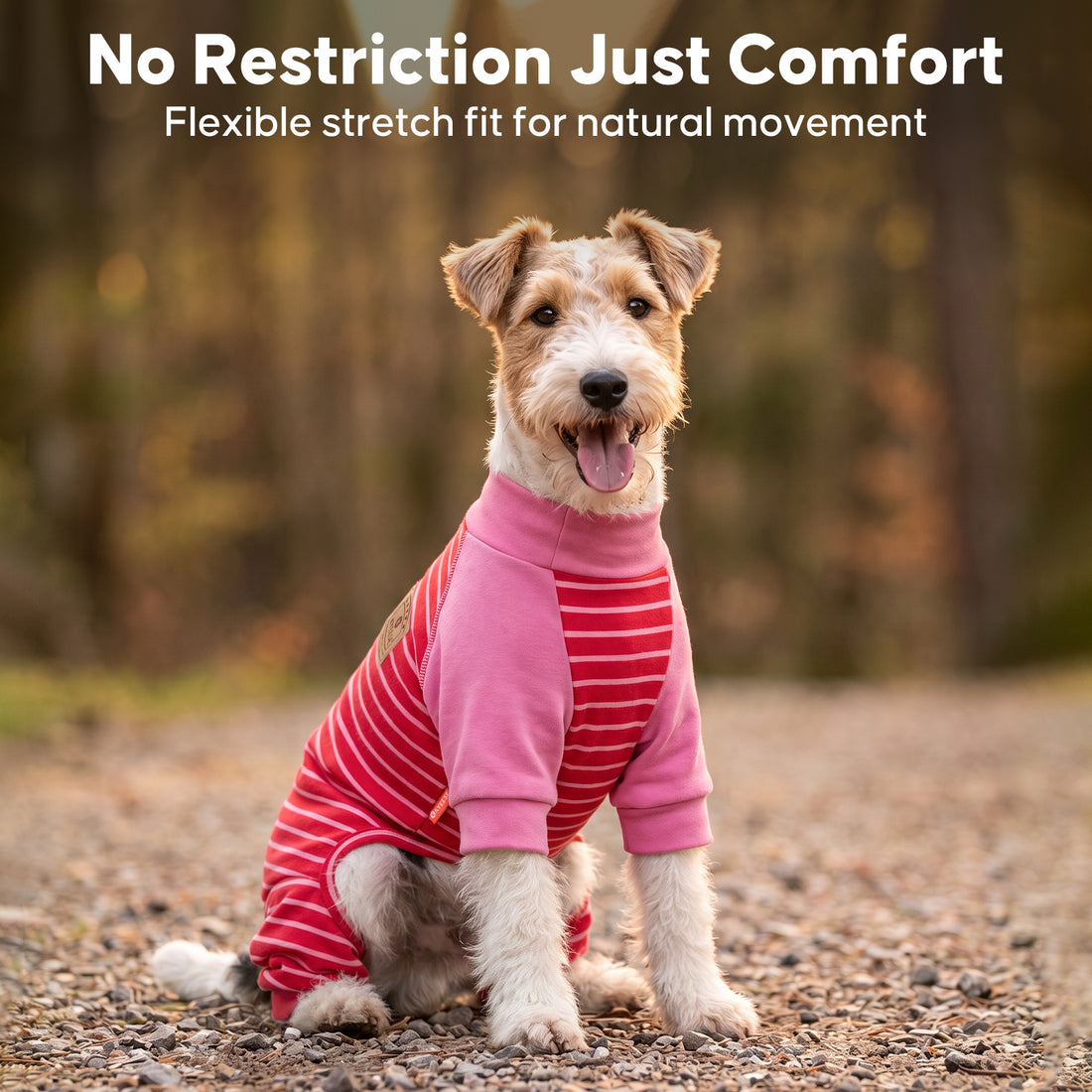 Red Striped Dog Onesie Pajamas gallery image 8