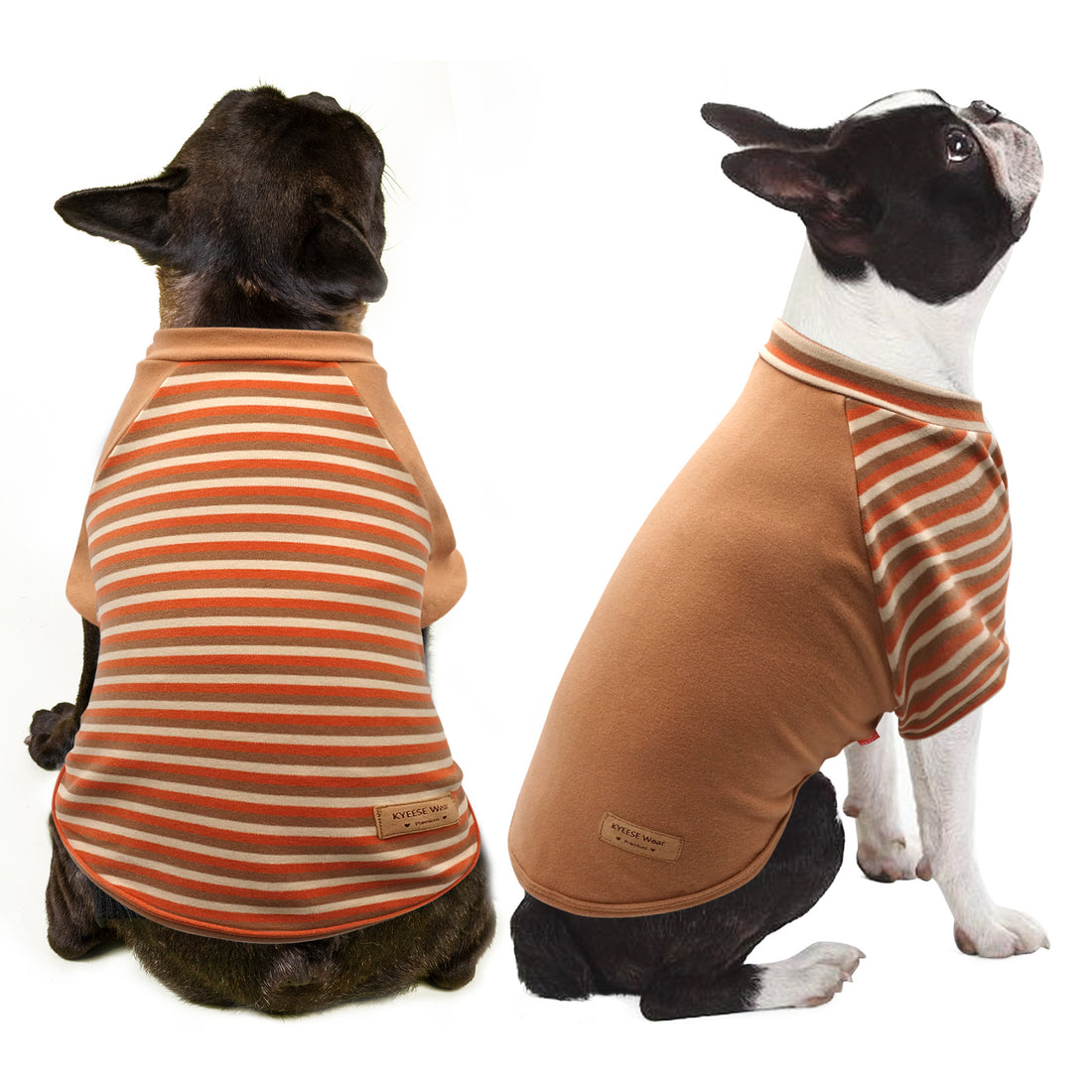 Dog raglan sleeve shirt in tan with orange and white striped front and sleeves