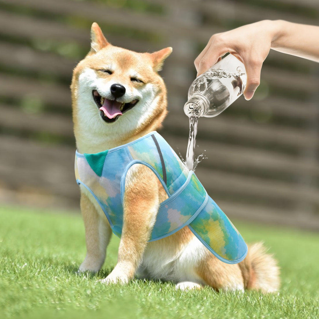 Blue and green tie-dye lightweight mesh cooling dog vest on a dog