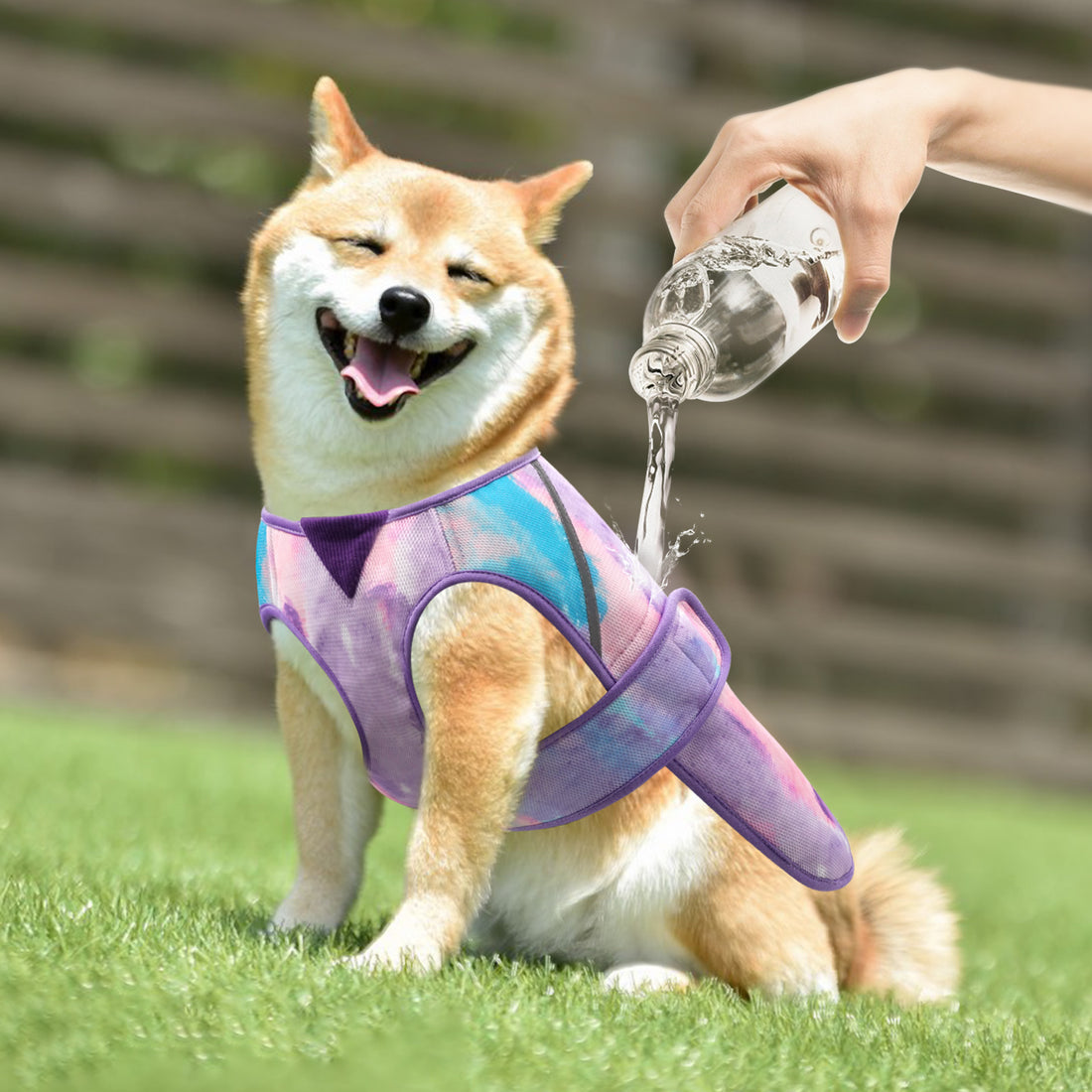 Blue and purple tie-dye lightweight mesh cooling dog vest on a dog