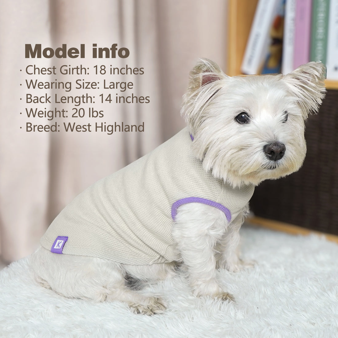 Waffle knit dog shirt 2 pack, cream with purple trim round neck, worn on small dog