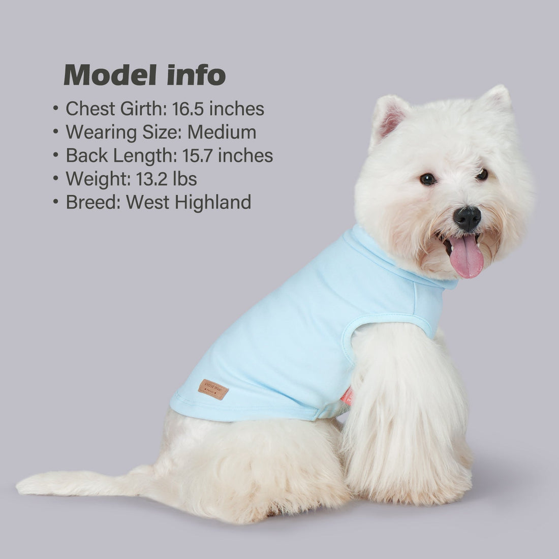 Light blue sleeveless dog sweater with turtleneck and small side patch label