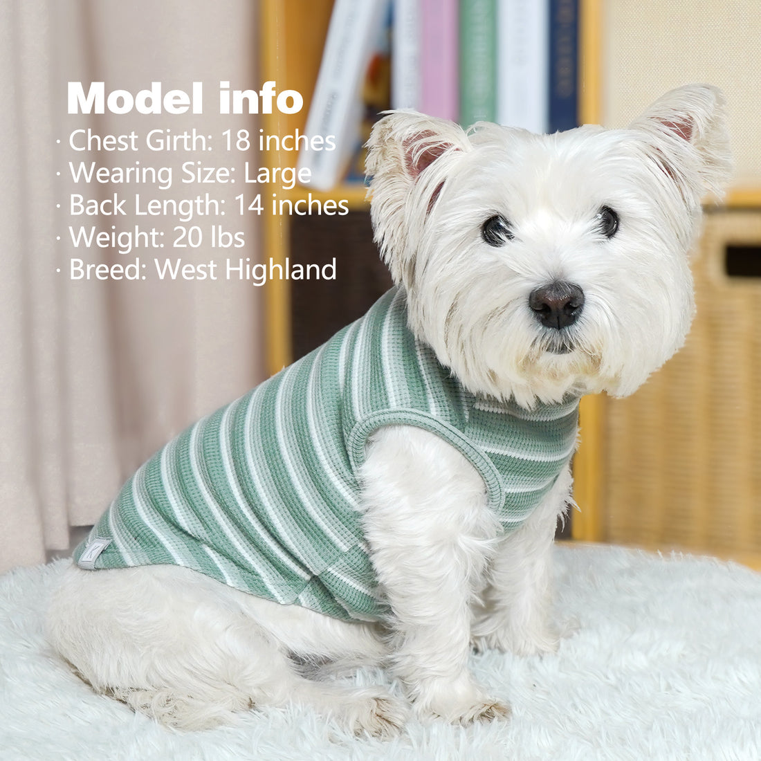 Green striped dog shirt with waffle-knit texture, worn by small white dog.