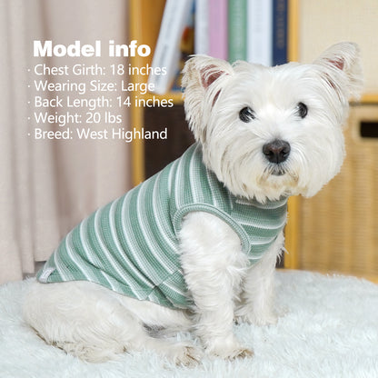 Green striped dog shirt with waffle-knit texture, worn by small white dog.