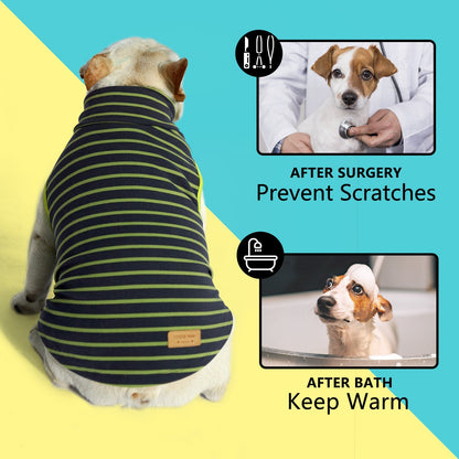 Navy-and-lime striped sleeveless dog turtleneck sweater worn by dog from back