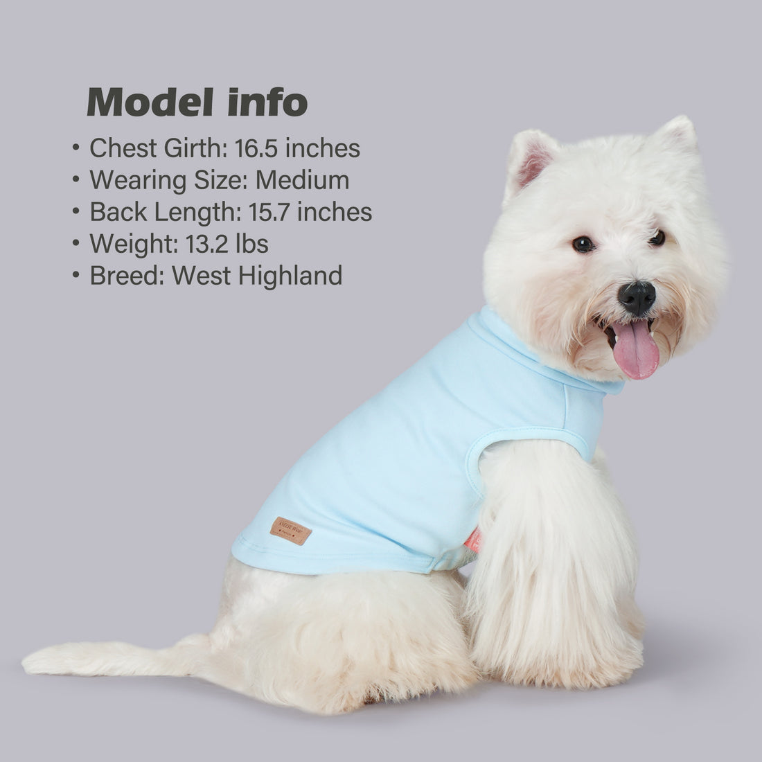 Light blue sleeveless dog sweater with turtleneck and small side patch label