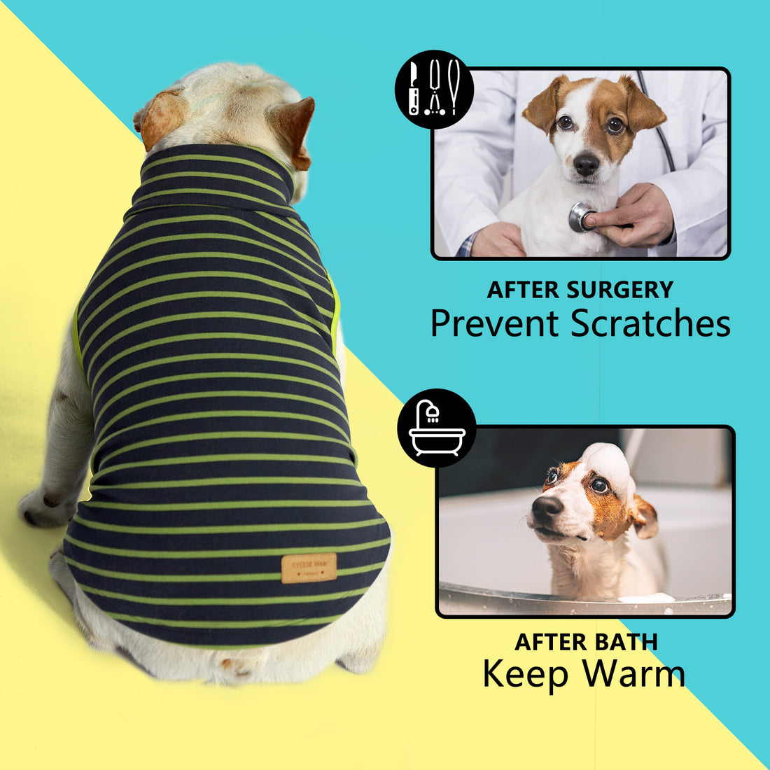 Navy-and-lime striped sleeveless dog turtleneck sweater worn by dog from back
