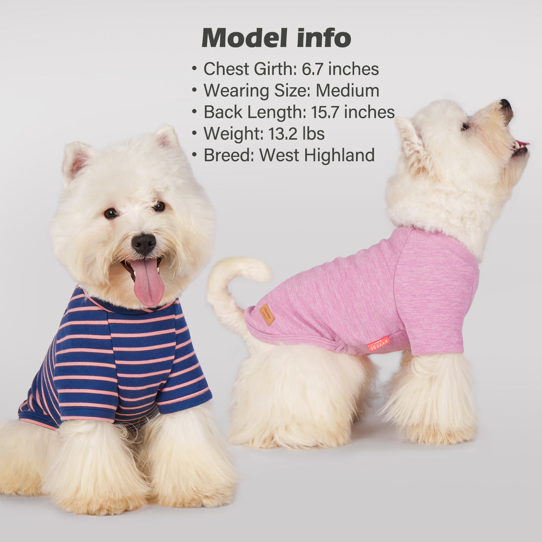 Dog shirt set on dogs: navy striped raglan style and pink solid raglan style