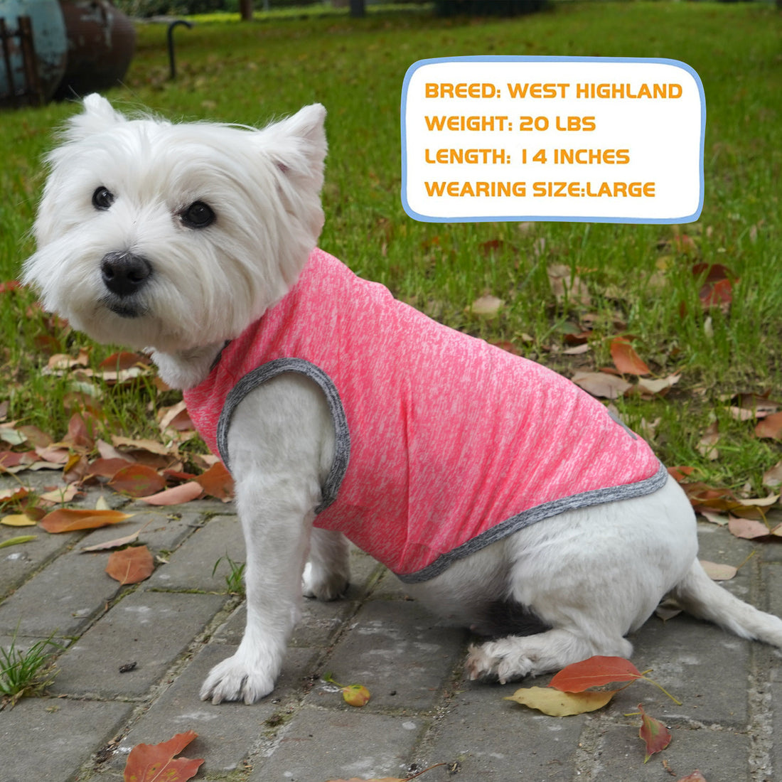 Pink sleeveless dog shirt with gray trim, reflective bone on back