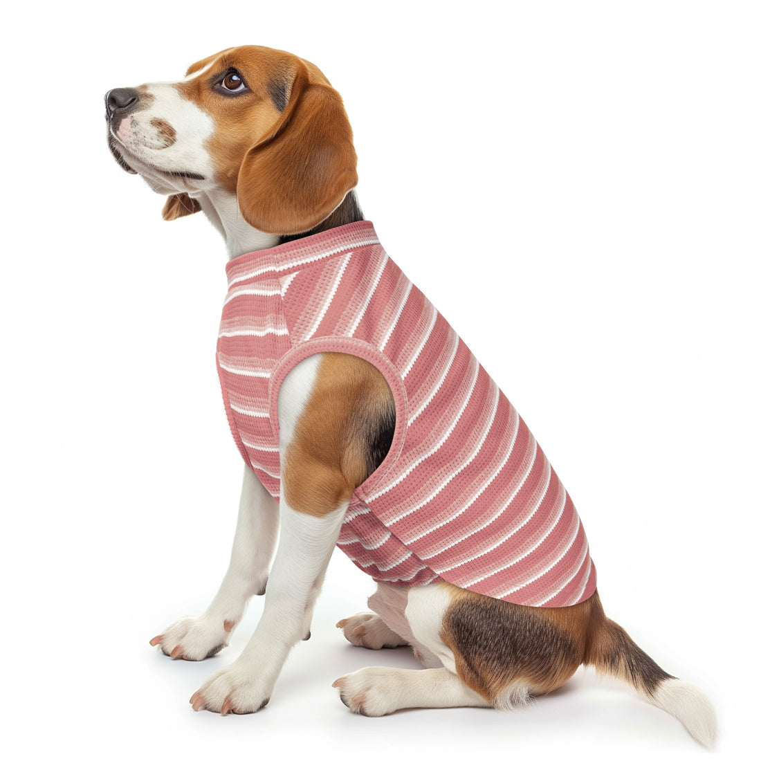 Pink striped dog shirt with waffle texture and round neck, worn by small dog.
