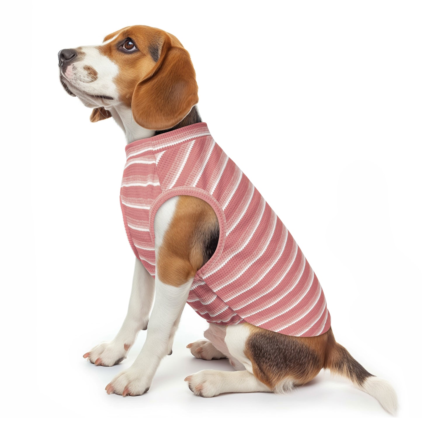 Pink striped dog shirt with waffle texture and round neck, worn by small dog.