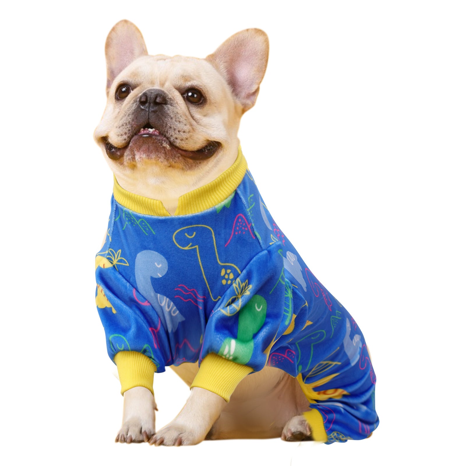 Blue dinosaur print dog onesie with yellow ribbed collar and cuffs