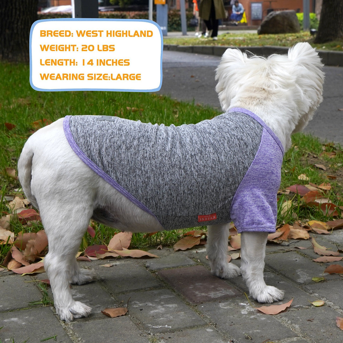 Lightweight dog shirt with raglan sleeves in heather gray and purple, bone logo.