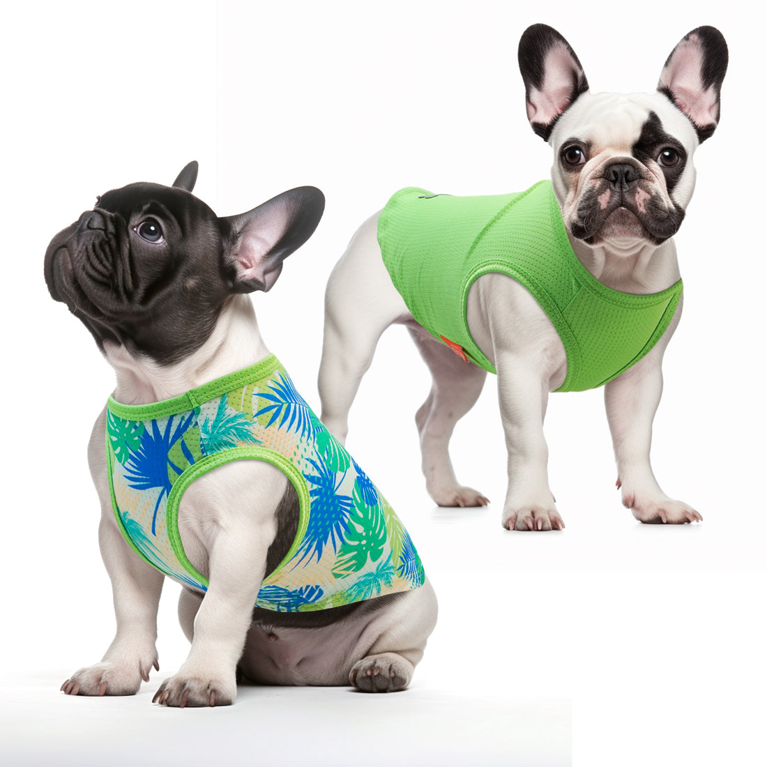 Mesh breathable dog shirt with tropical palm print, worn by two dogs in green tops