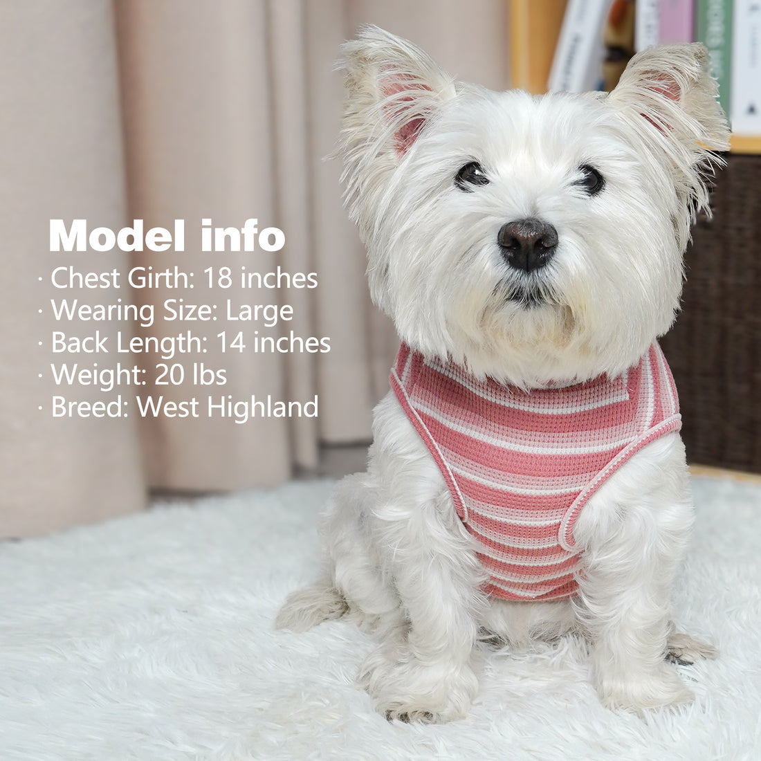 Dog waffle shirt in red-and-white stripes, round neck, elastic belly opening