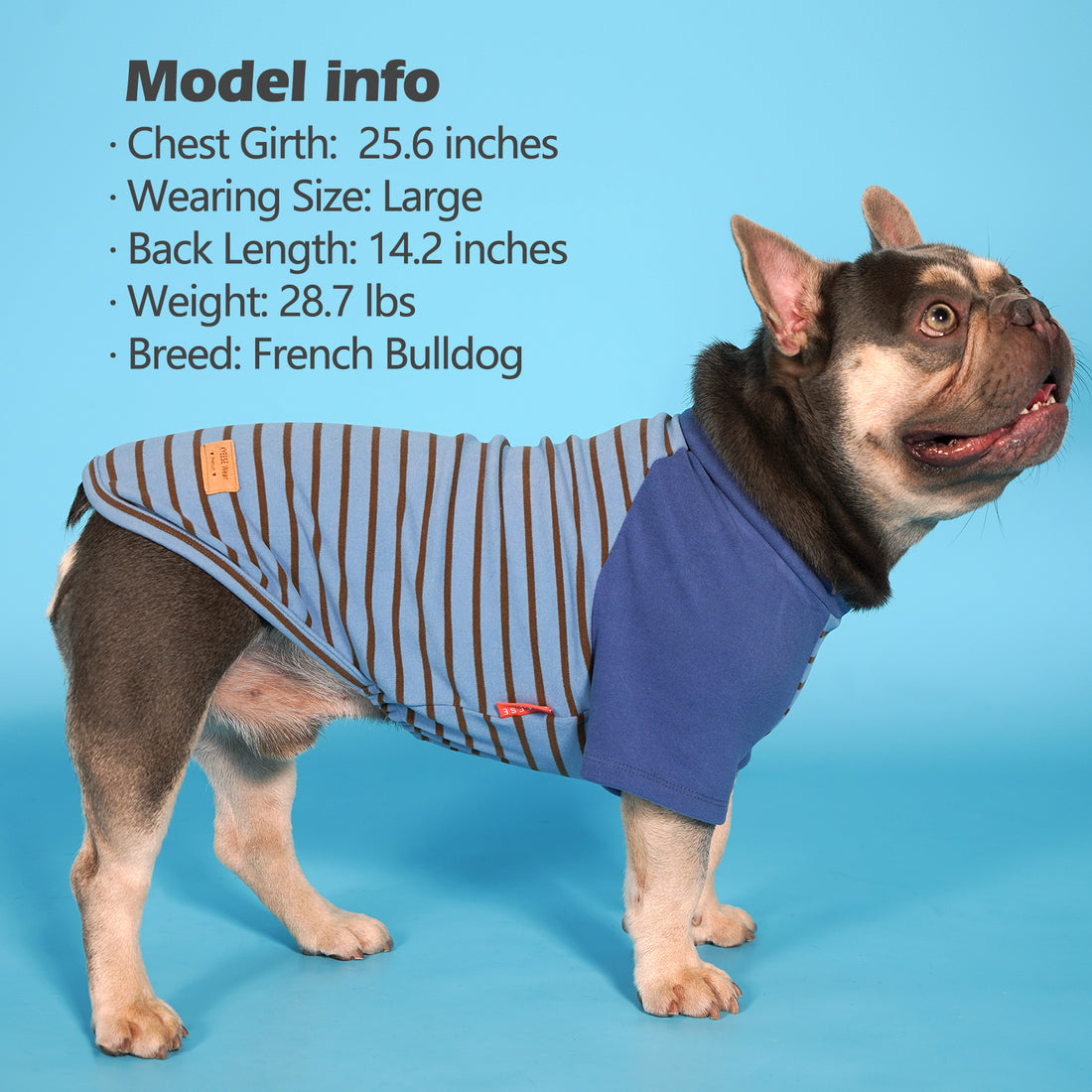 Blue dog raglan shirt with tan striped front panels and small brown label